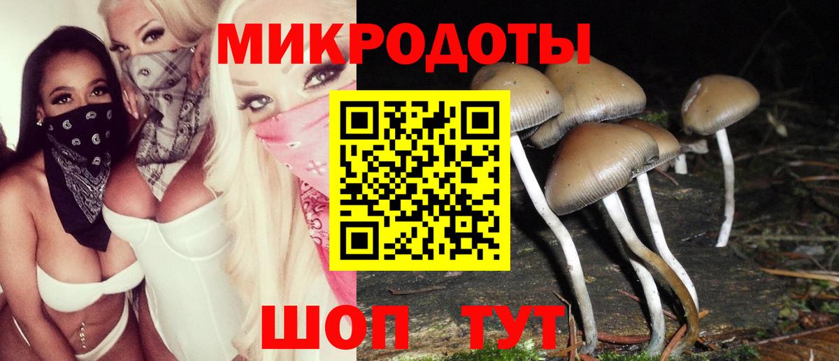 Псилоцибиновые грибы Magic Shrooms  Галлюциногенные грибы мицелий  Елизово  Вход с VPN 