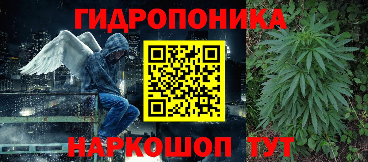 Бошки Шишки семена  Канабис THC 21%  Вход с VPN  Марихуана планчик  Конопля планчик  Елизово 